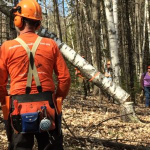 vermont logging