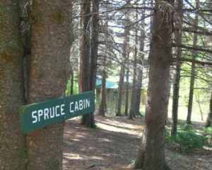 spruce cabin rental vermont