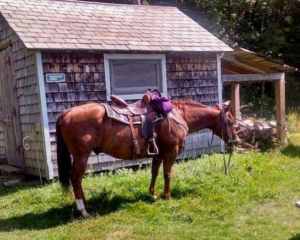 horse cabin rental vermont