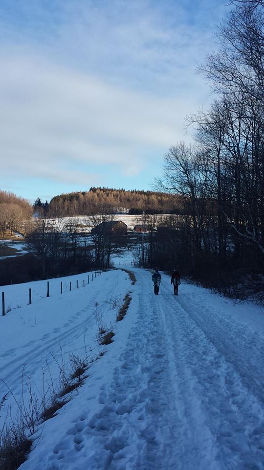 VT hiking in the winter